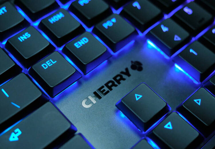 KLAWIATURA CHERRY MX 10.0N RGB CZARNA GAMING